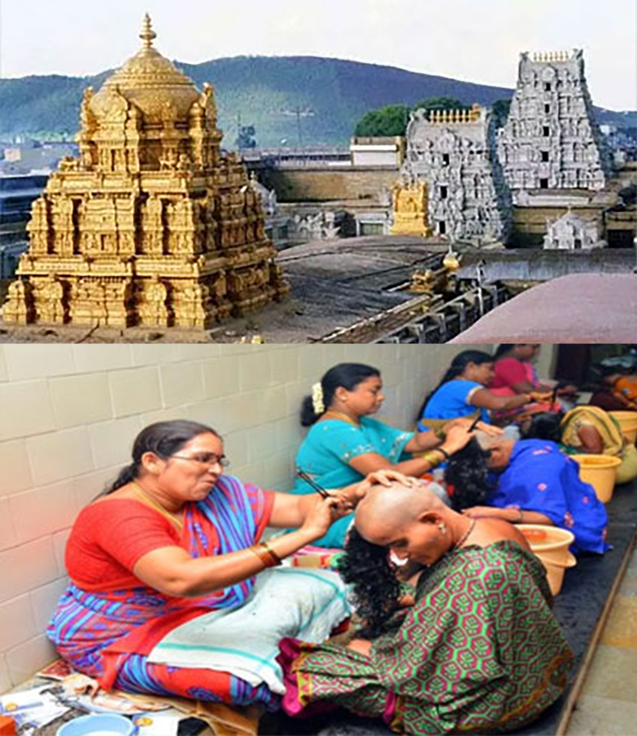 Hair Sourcing Process - SGIHair